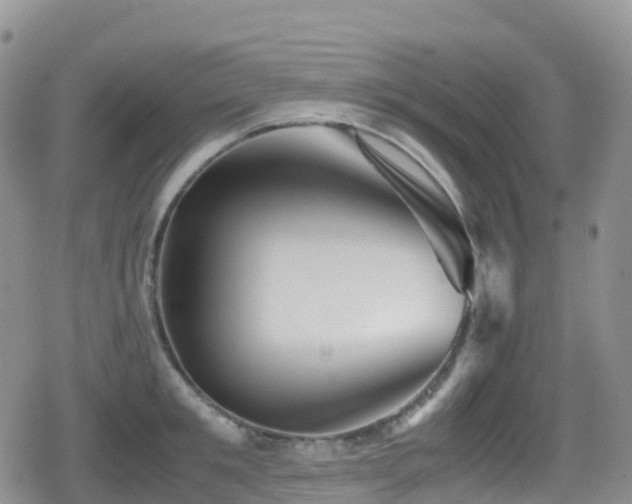 X0000080810901200612151525