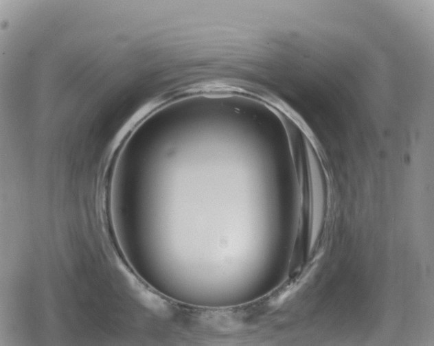 X0000080810909200612151525