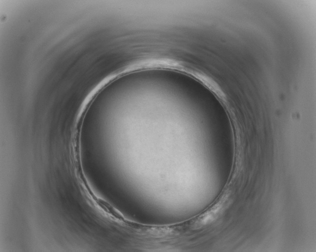 X0000080810912200612151525