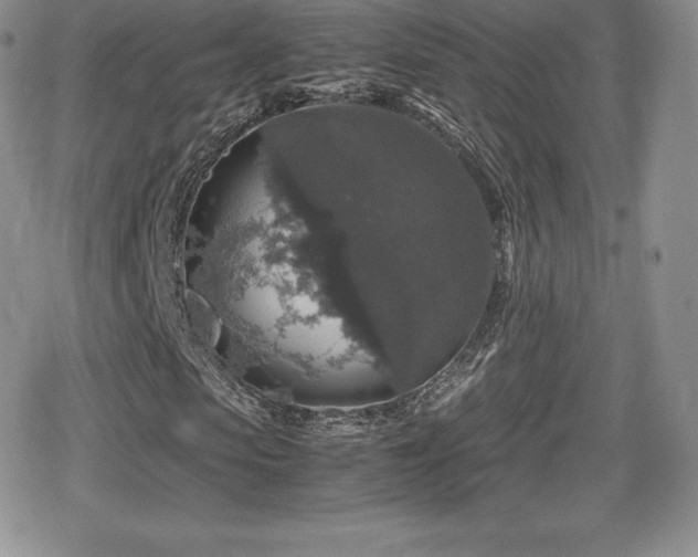 X0000080810913200612151524