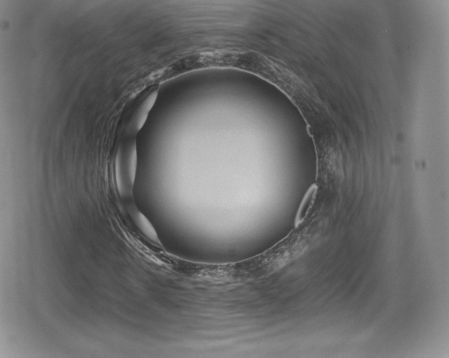 X0000080810914200612151524