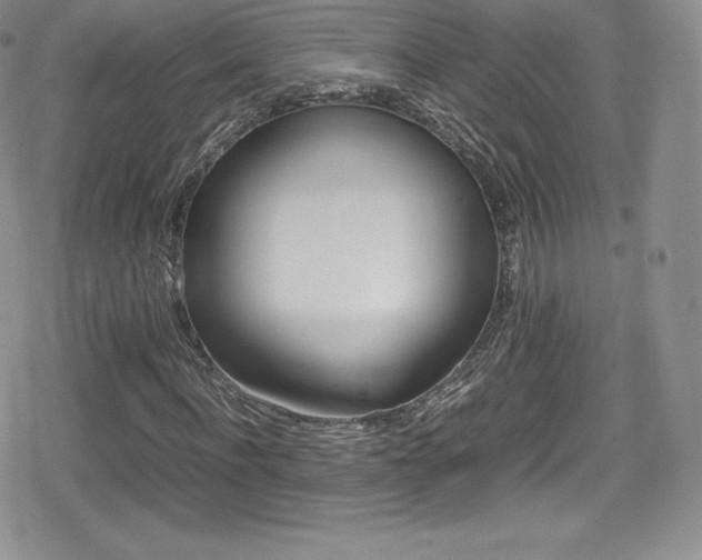 X0000080810916200612151524