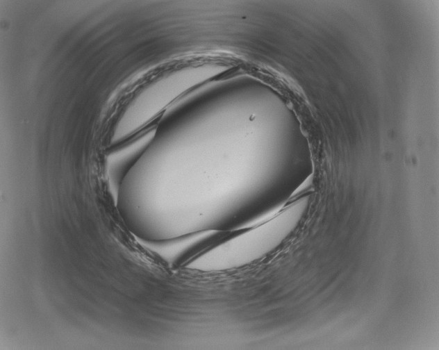 X0000080810920200612151524