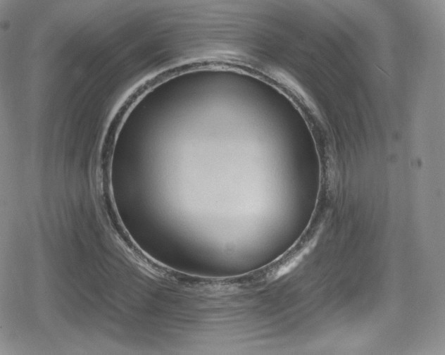 X0000080810924200612151524