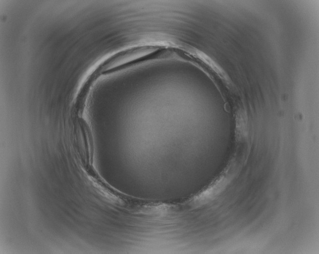 X0000080810926200612151524