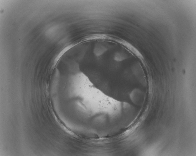 X0000080810953200612151525