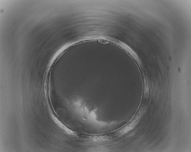 X0000080810958200612151525