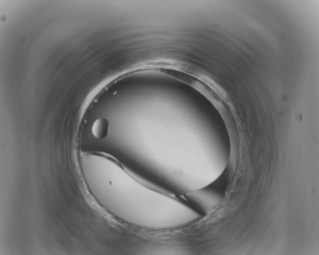 X0000080810960200612151525