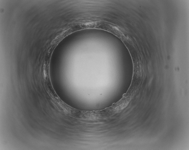 X0000080810962200612151524