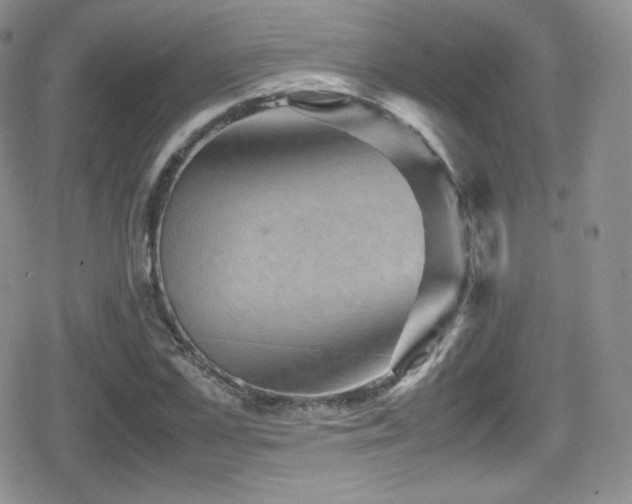 X0000080810973200612151524