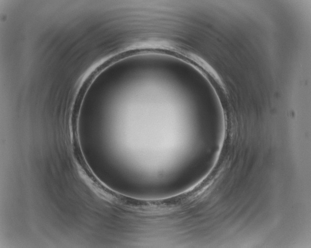 X0000080810980200612151524