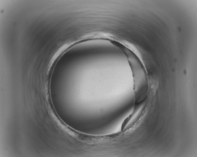 X0000080810997200612151524