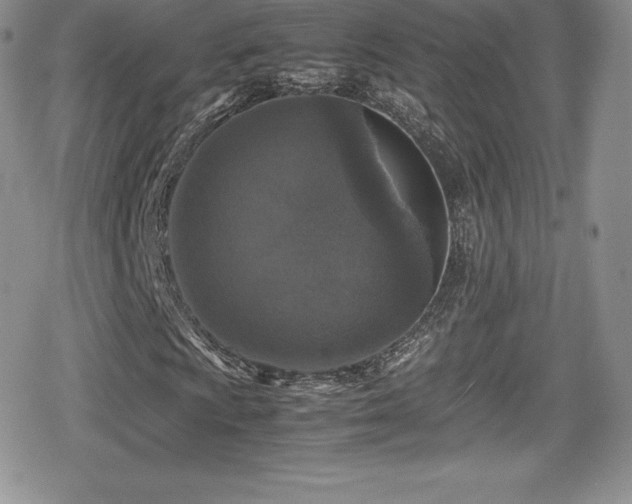 X0000080811009200612151523
