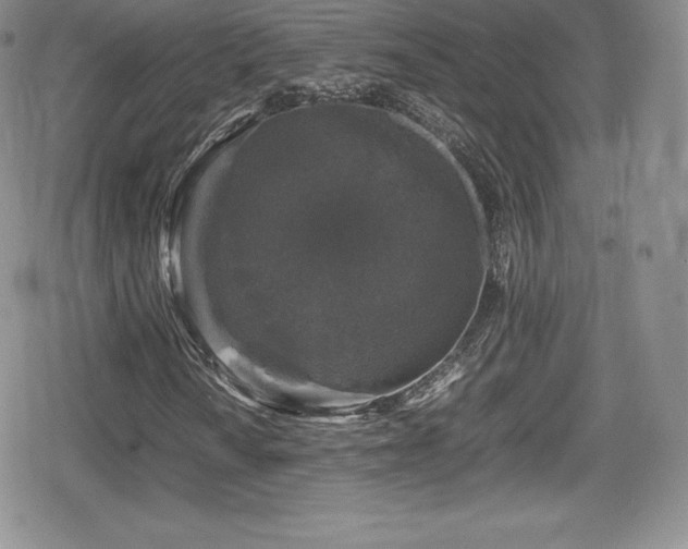 X0000080811010200612151523