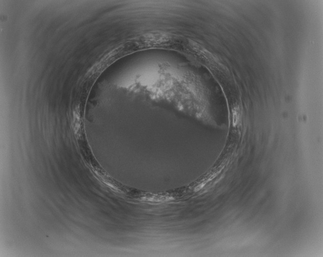 X0000080811011200612151523