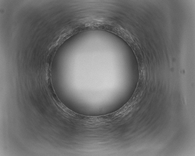 X0000080811012200612151523