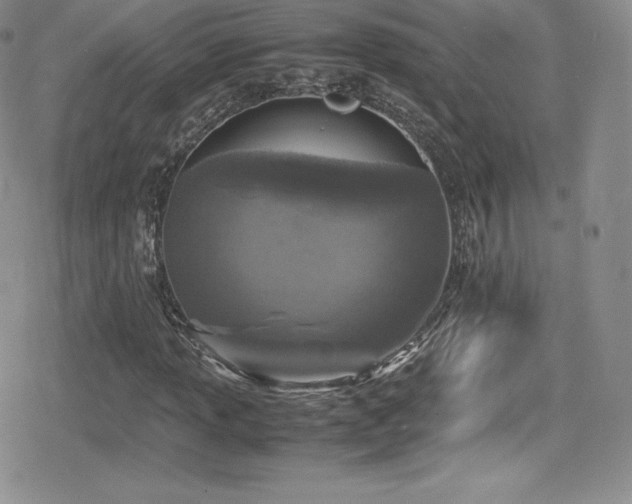 X0000080811013200612151523