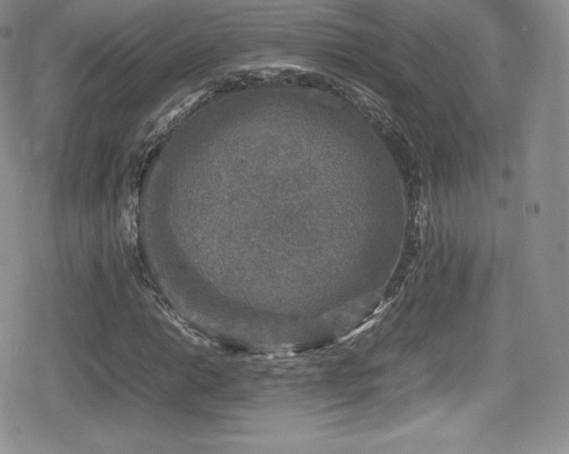 X0000080811014200612151523