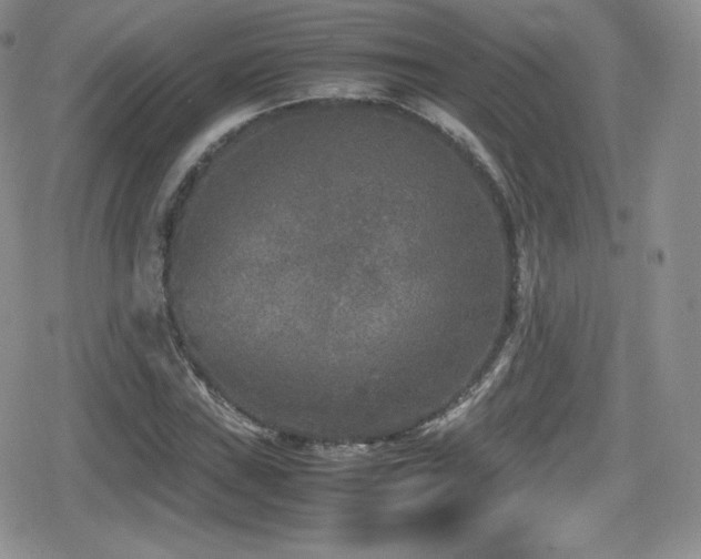 X0000080811019200612151523