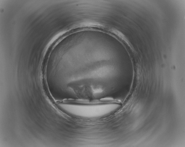 X0000080811024200612151523