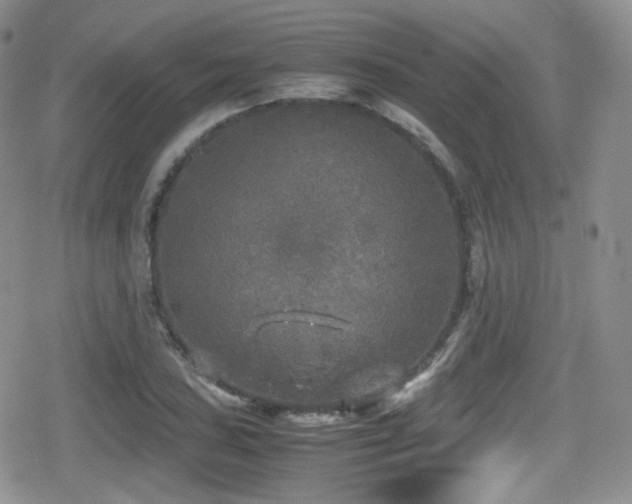 X0000080811027200612151523