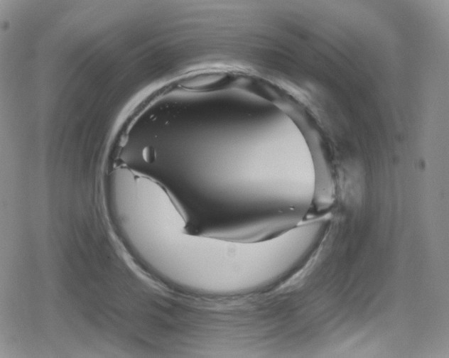 X0000080811030200612151523