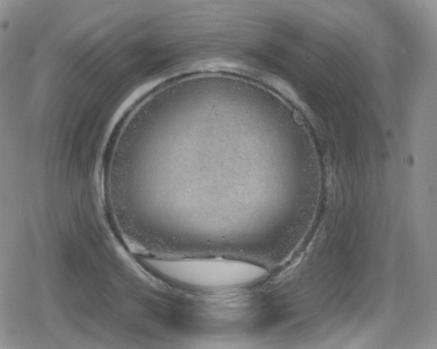 X0000080811032200612151523