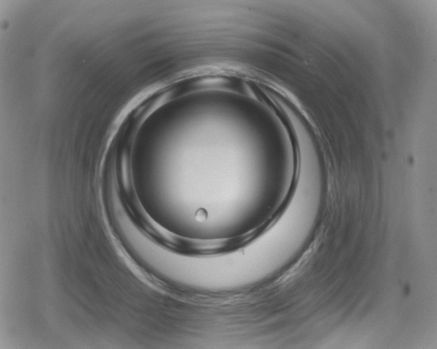 X0000080811034200612151523