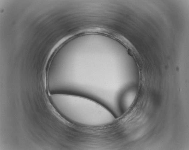 X0000080811036200612151523