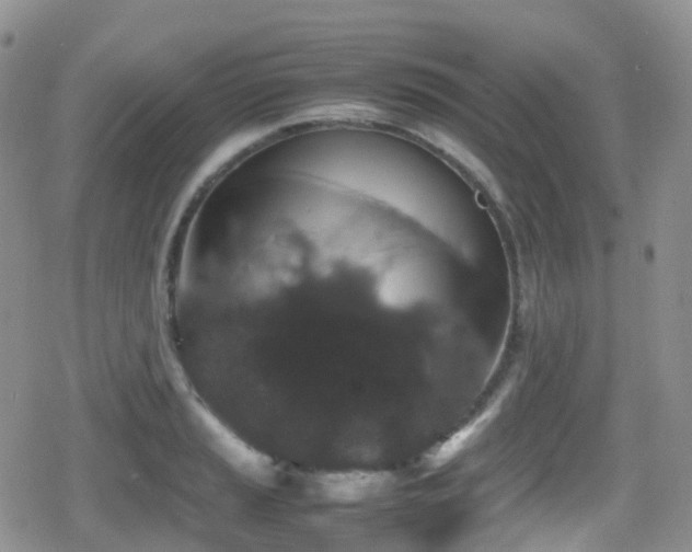 X0000080811037200612151523