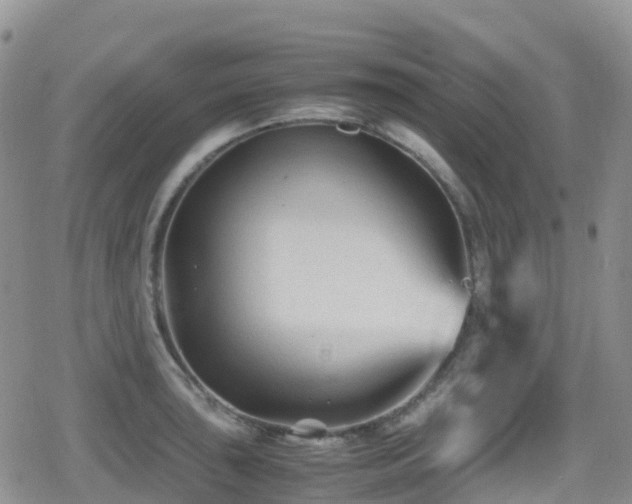 X0000080811043200612151523