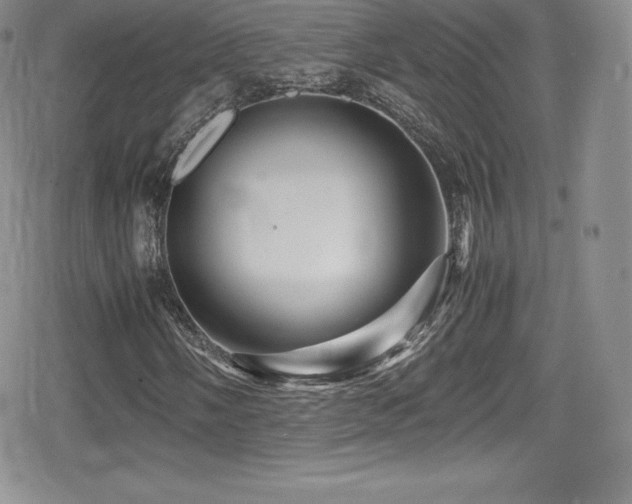 X0000080811058200612151523