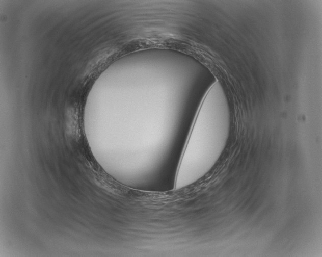 X0000080811060200612151523
