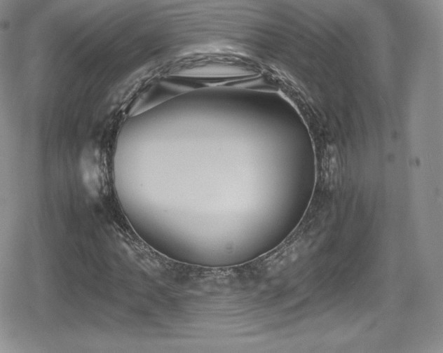 X0000080811062200612151523