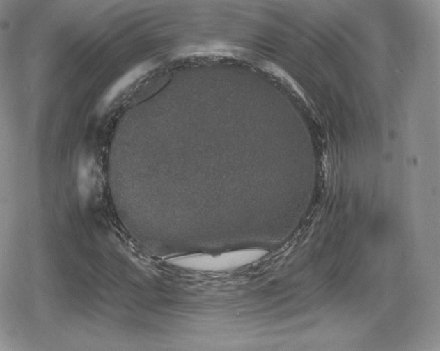X0000080811064200612151523