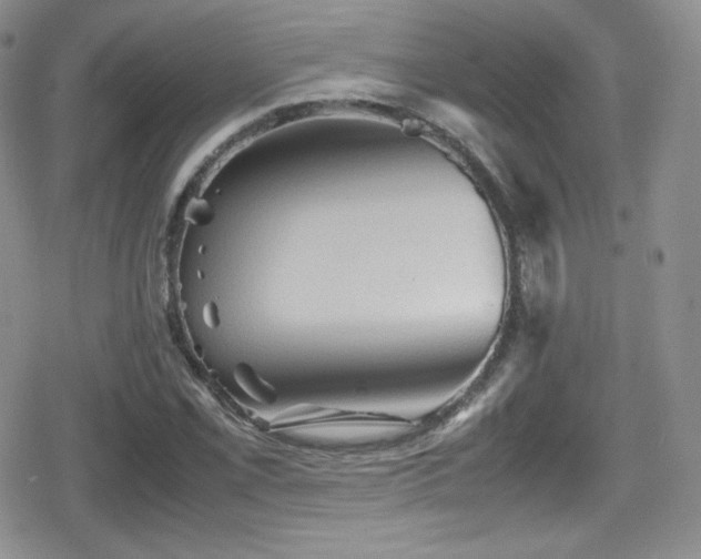 X0000080811069200612151522