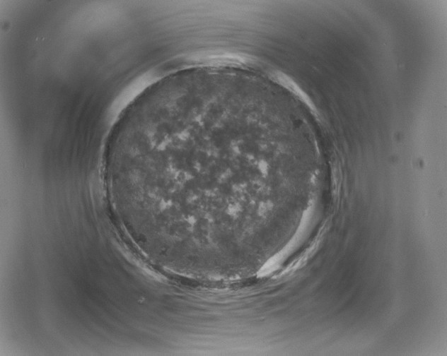 X0000080811071200612151522