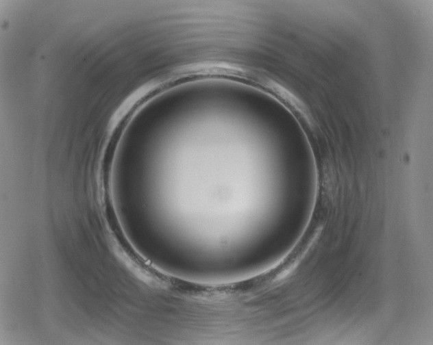 X0000080811082200612151522