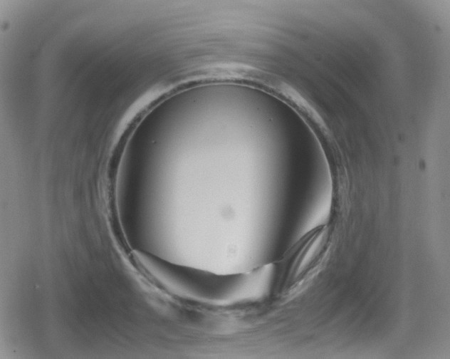 X0000080811085200612151522