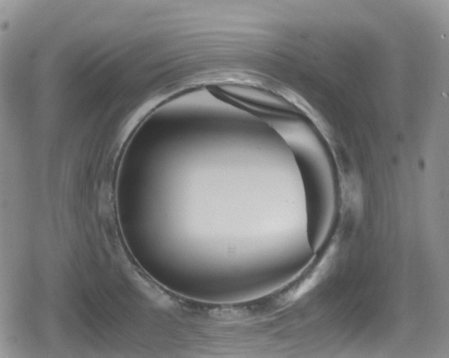 X0000080811089200612151522
