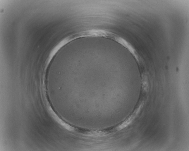 X0000080811091200612151522