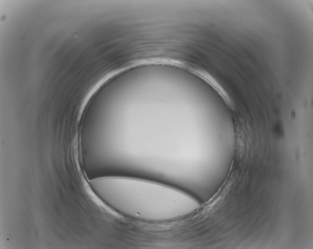 X0000080811100200612151522