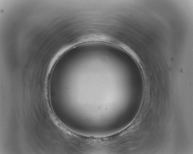 X0000080811104200612151522