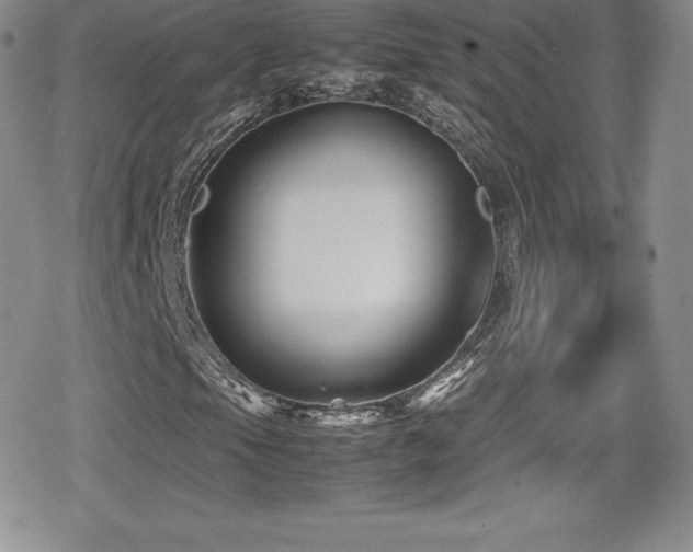 X0000080811105200612151521