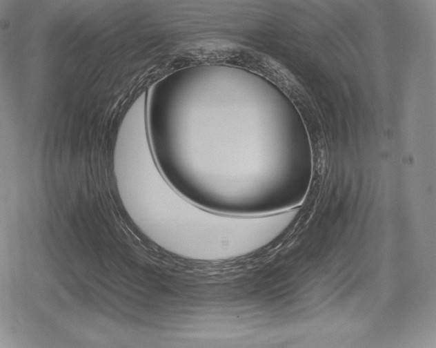 X0000080811108200612151521