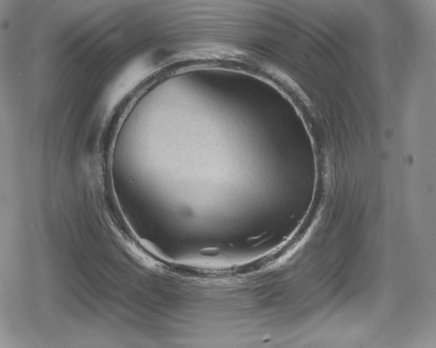 X0000080811114200612151521