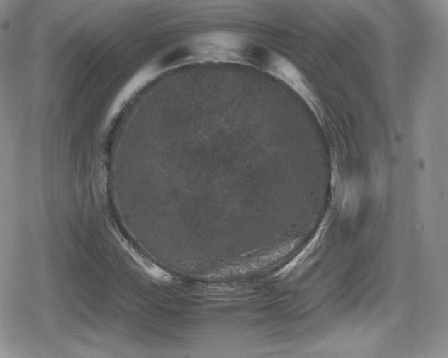 X0000080811115200612151521