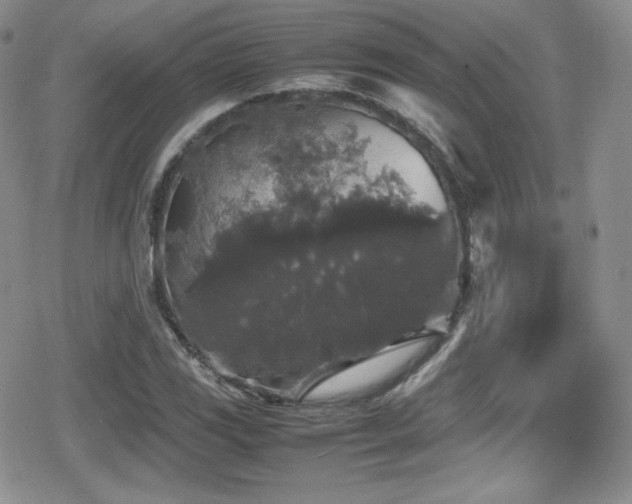 X0000080811117200612151521