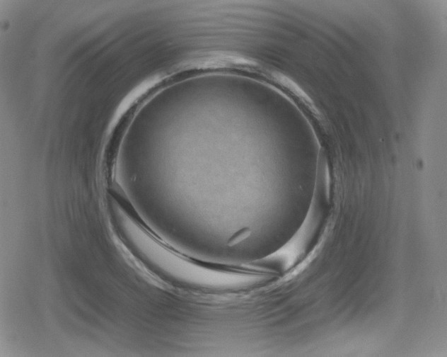 X0000080811122200612151521