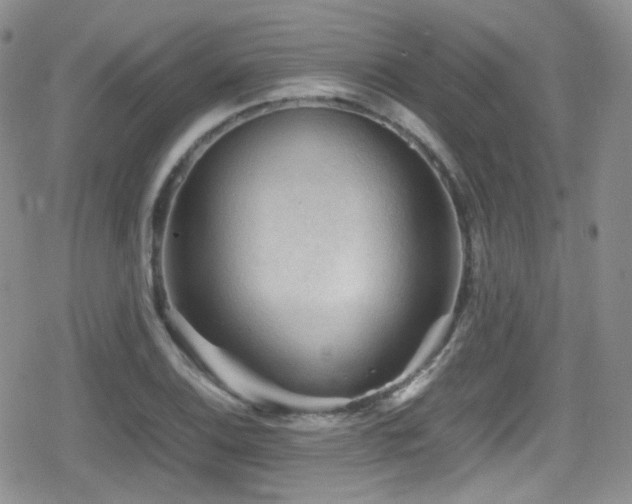 X0000080811124200612151521
